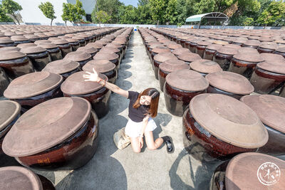 2500個醬缸整齊排列超壯觀！
