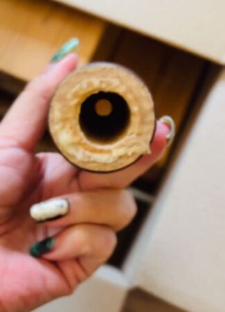 ▲。（圖／翻攝自X／@nyorozo）