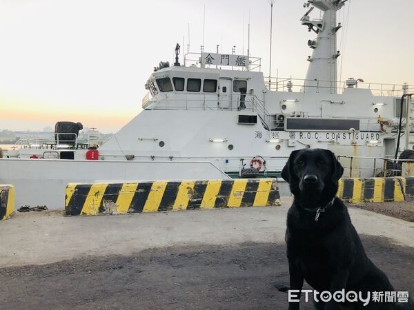 退役海巡犬AJ。(圖/飼主)