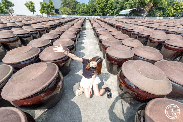 ▲▼雲林西螺免門票景點「瑞春醬油觀光工廠」，全台最大2500甕曬甕場！必吃獨家黑豆醬油冰淇淋。（圖／部落客桃桃提供）