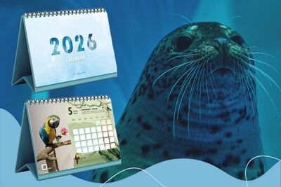 迎接2026年　Xpark推出新春《海洋摺學家作品展》