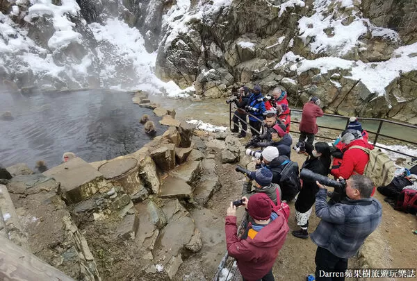 ▲▼日本長野必訪景點推薦「地獄谷野猿公苑」，猴子泡溫泉一日遊交通、門票、停車攻略。（圖／部落客DARREN提供）