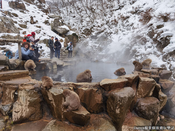 ▲▼日本長野必訪景點推薦「地獄谷野猿公苑」，猴子泡溫泉一日遊交通、門票、停車攻略。（圖／部落客DARREN提供）