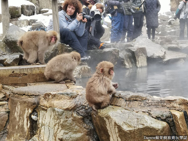 ▲▼日本長野必訪景點推薦「地獄谷野猿公苑」，猴子泡溫泉一日遊交通、門票、停車攻略。（圖／部落客DARREN提供）