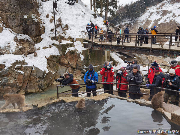 ▲▼日本長野必訪景點推薦「地獄谷野猿公苑」，猴子泡溫泉一日遊交通、門票、停車攻略。（圖／部落客DARREN提供）