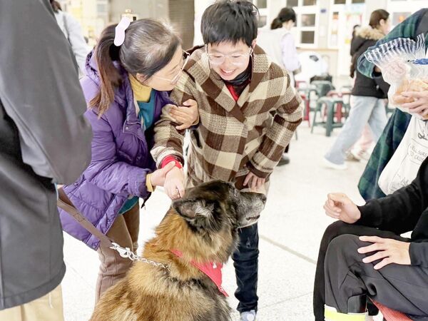 ▲桃園市衛生局與動保處13日舉辦「療癒汪汪隊」罕病家庭照顧者支持服務活動，讓罕見疾病病友家庭參與，與心輔犬互動。（圖／桃市衛生局提供）