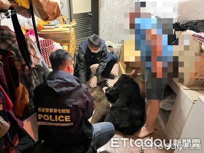 9人獵殺4台灣黑熊一審無罪　「黑熊媽媽」黃美秀發聲
