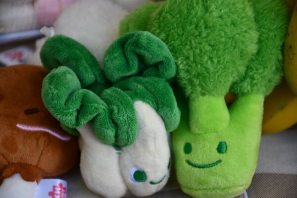 ▲彰化市4公有市場聯合促銷，憑100元換200元加倍券。（圖／彰化市公所提供）