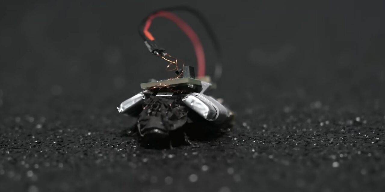 ▲▼《決勝時刻》「蟑螂偵察機」成真。（圖／翻攝自《決勝時刻：黑色行動2》Steam）