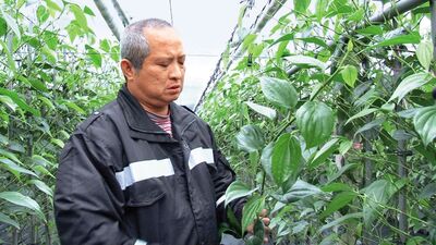 南迴搞軌謀殺離奇命案！兄弟合謀殺越妻　弟尋短、兄低調出獄