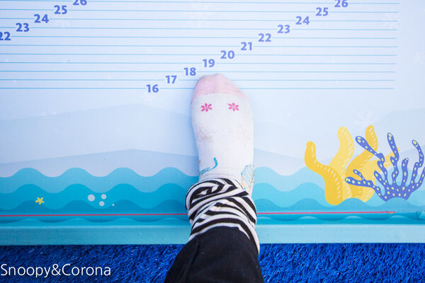 ▲▼中國信託金融園區戶外滑冰場。（圖／部落客史努比遊樂園授權提供）