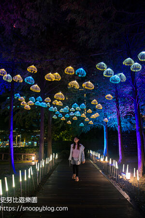 ▲▼中國信託金融園區戶外滑冰場。（圖／部落客史努比遊樂園授權提供）