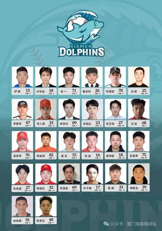 ▲廈門海豚網羅13名台將。（圖／廈門海豚官方）