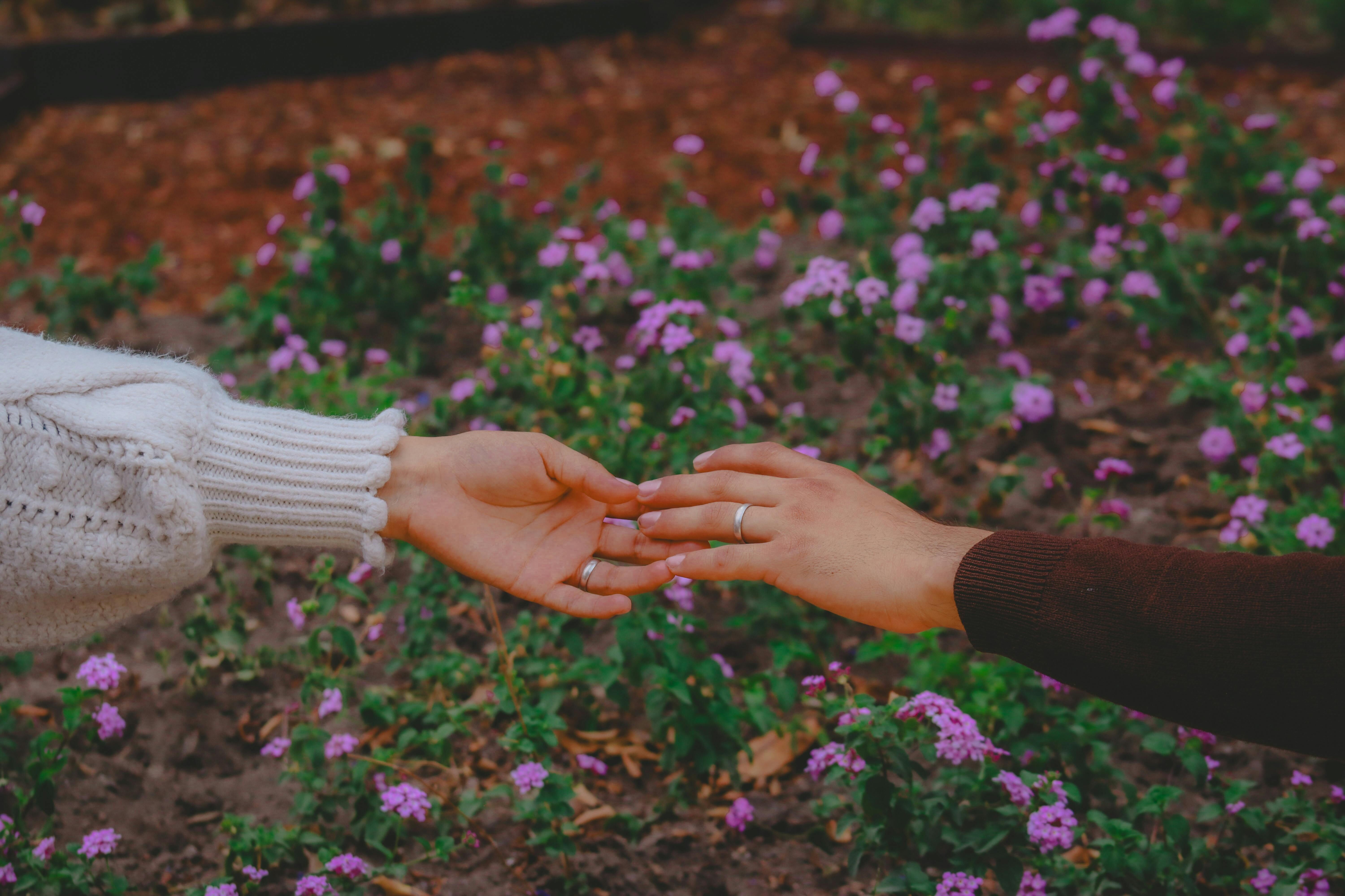 ▲▼愛情,大人,告白,3次,戀愛,感情。（圖／取自免費圖庫pexels）