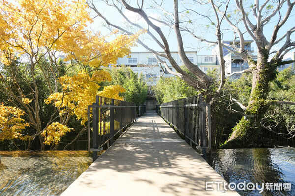▲富貴三義美術館,苗栗旅遊,三義旅遊,美術館。（圖／記者彭懷玉攝）