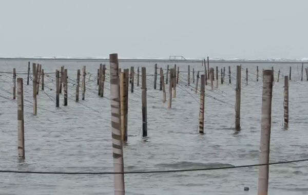 ▲彰化伸港什股海域1個月內3名釣客喪命。（圖／民眾提供）