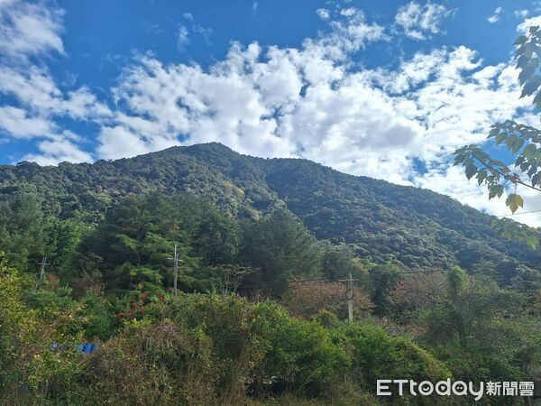 ▲▼             。（圖／記者李陳信得攝）
