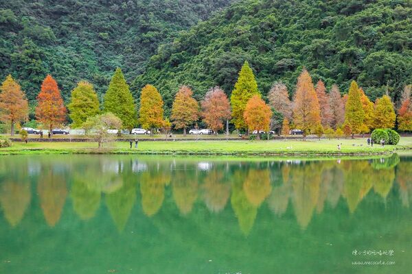▲▼宜蘭秋冬秘境落羽松景點。（圖／部落客黑皮提供）