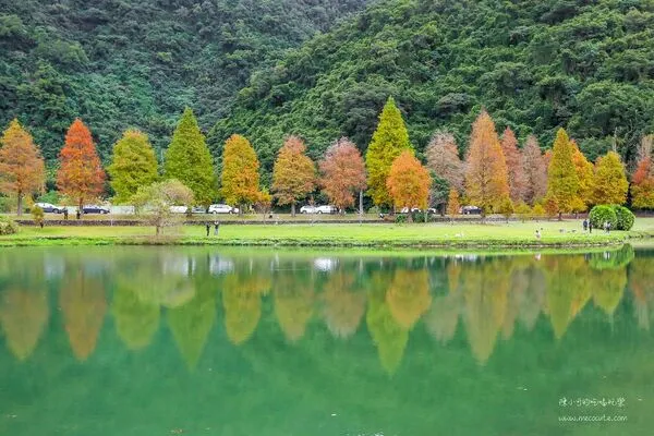 ▲▼宜蘭秋冬秘境落羽松景點。（圖／部落客黑皮提供）