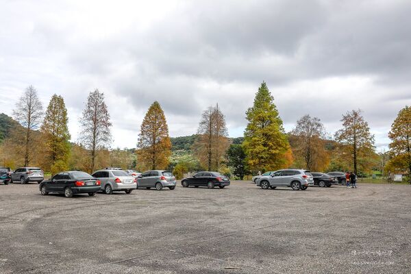 ▲▼宜蘭秋冬秘境落羽松景點。（圖／部落客黑皮提供）