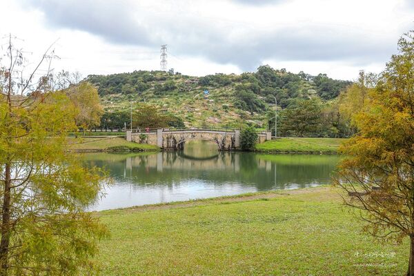 ▲▼宜蘭秋冬秘境落羽松景點。（圖／部落客黑皮提供）