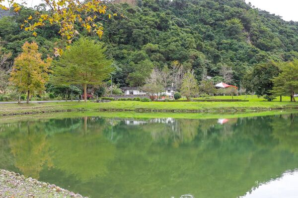 ▲▼宜蘭秋冬秘境落羽松景點。（圖／部落客黑皮提供）