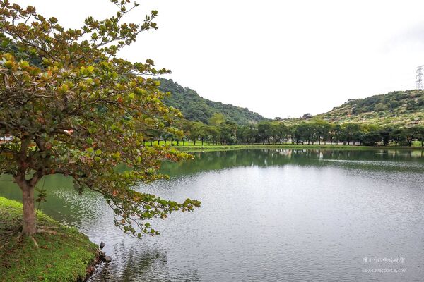 ▲▼宜蘭秋冬秘境落羽松景點。（圖／部落客黑皮提供）