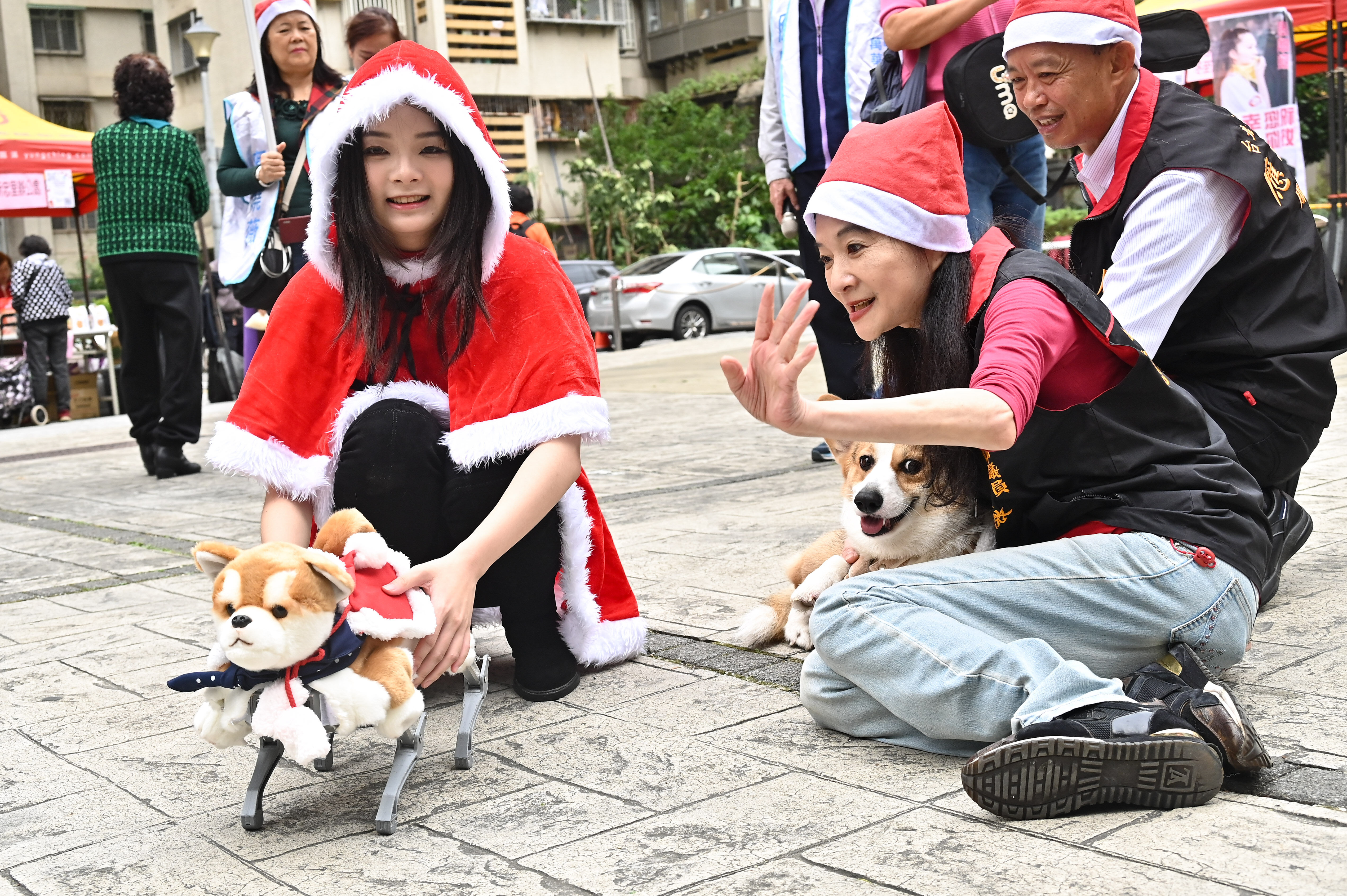 ▲▼台北市議員應曉薇偕同女兒應佳妤著聖誕裝扮，攜帶會聽命令的Al機器狗，與科基愛犬「應寶寶」陪伴里民歡慶冬至與聖誕。（圖／記者李毓康攝）