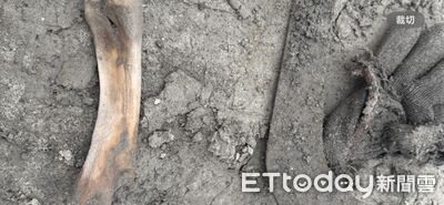 光復災區挖出骨骸鑑定結果曝　兒守怪手旁：很失落但絕不放棄