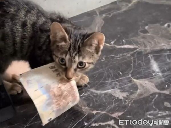 ▲。（圖／Threads@bo.rong_yang提供，請勿隨意翻拍，以免侵權。）