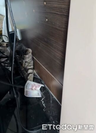 ▲。（圖／Threads@bo.rong_yang提供，請勿隨意翻拍，以免侵權。）