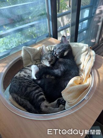 ▲。（圖／Threads@bo.rong_yang提供，請勿隨意翻拍，以免侵權。）