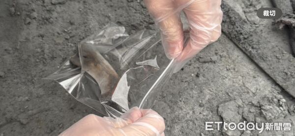 ▲林先生自開挖搜尋以來天天守在怪手前，深怕錯過任何找到父母的機會。（圖／記者王兆麟翻攝，下同）