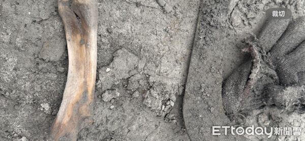 ▲林先生自開挖搜尋以來天天守在怪手前，深怕錯過任何找到父母的機會。（圖／記者王兆麟翻攝，下同）