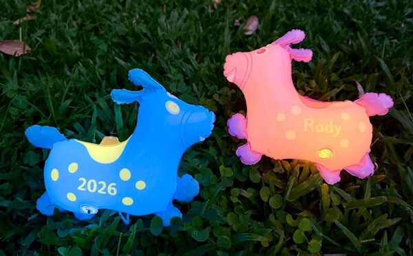 ▲彰化縣12/27日月影燈季點燈將發送2000個超萌跳跳馬提燈。（圖／彰化縣政府提供）