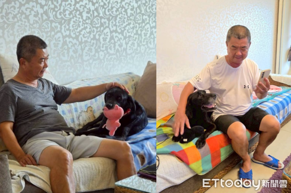 退役工作犬Vanya一家故事。（圖／飼主謝秀吟提供）