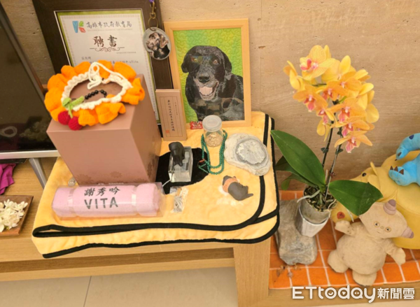 退役工作犬Vanya一家故事。（圖／飼主謝秀吟提供）