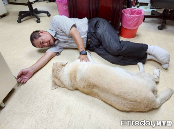 退役工作犬Vanya一家故事。（圖／飼主謝秀吟提供）