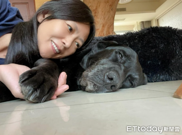 退役工作犬Vanya一家故事。（圖／飼主謝秀吟提供）