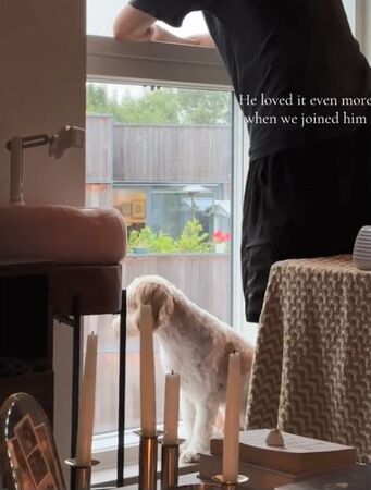 ▲。（圖／翻攝自TikTok／@miff_lifts）