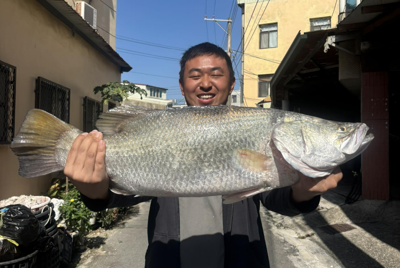 6公斤野生鱸魚!漁人東石出海口纏鬥後捕獲 成為市場搶手貨