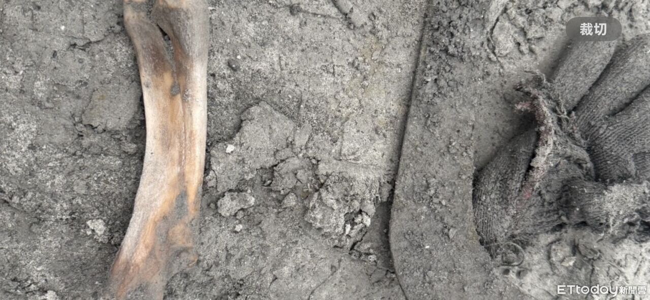 光復災區挖出骨骸鑑定結果曝 兒守怪手旁:很失落但絕不放棄