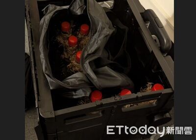 張文恐攻武器曝光！帶4刀闖南西亂殺人　屯35顆油彈+24煙霧彈