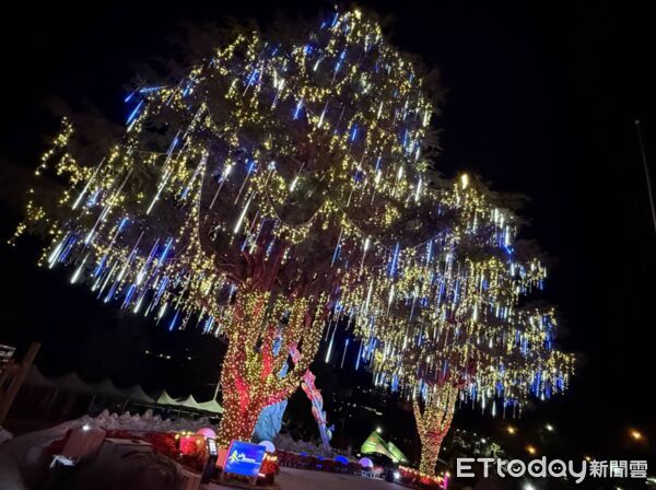 ▲梨山高山夜色中，山谷燈光節點亮雪松。（圖／記者游瓊華翻攝）