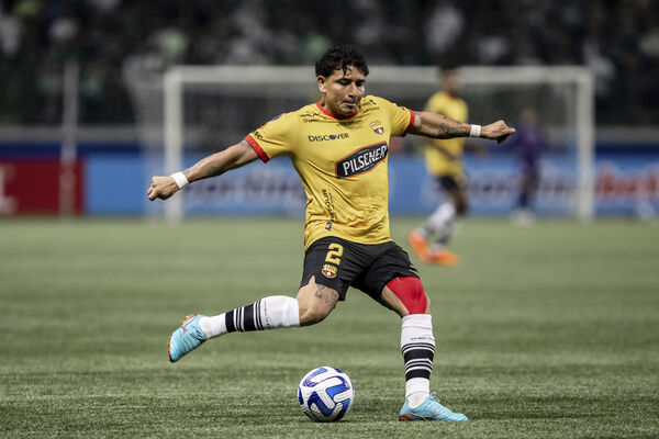 ���� ��϶��33�����Ƥ�ڴMario Pineida����ǹɱ�� ��ͼ/��־Ӱ��/�����磩