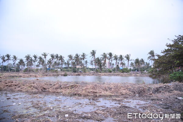 ▲▼工程基地位於自由街南側、和平路北側、縣道193線西側，工程用地約3.49公頃。（圖／花蓮縣政府提供，下同）