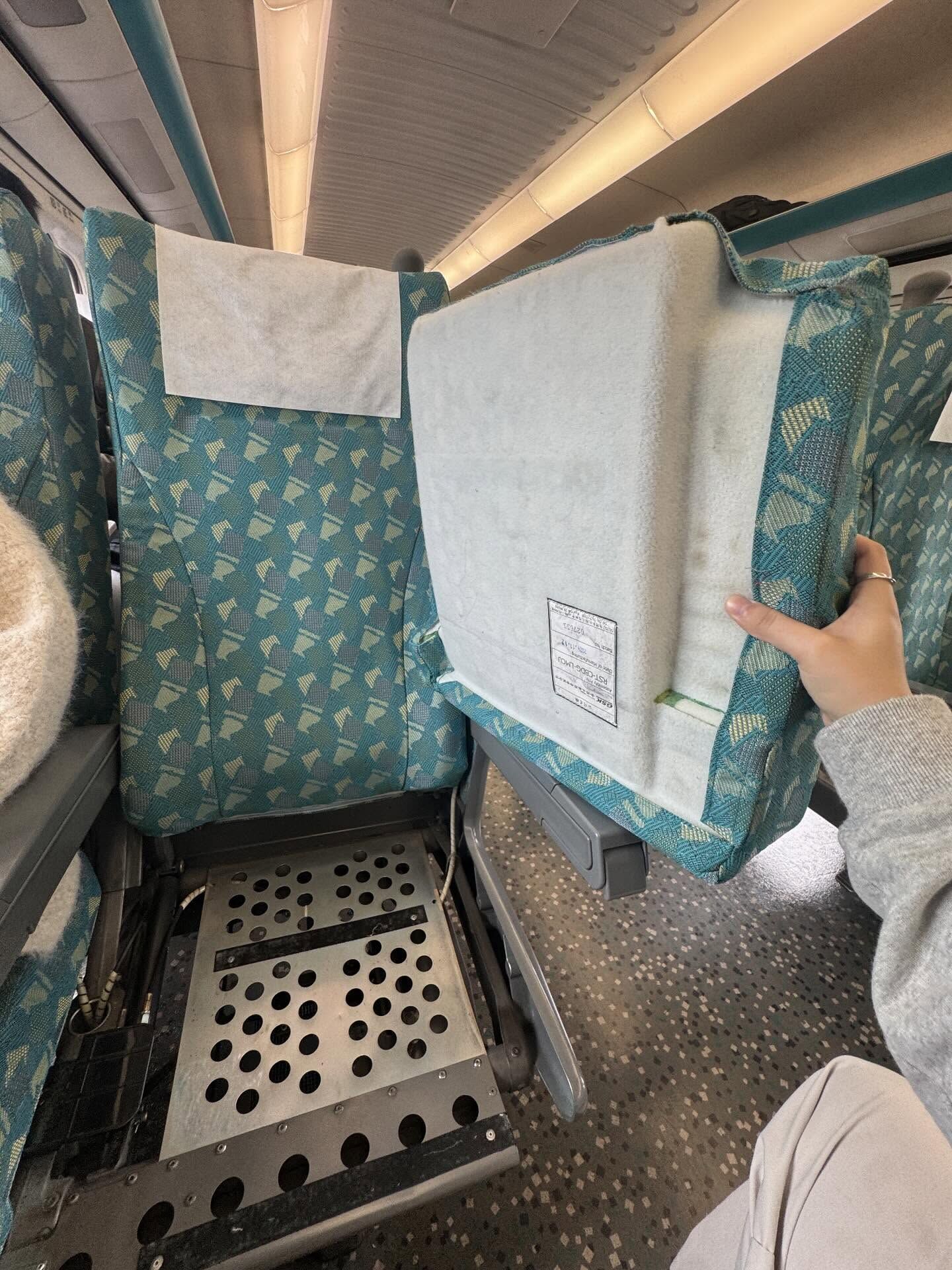 ▲▼高鐵坐墊可當盾牌防身。（圖／網友jmacc_lilian102625提供）