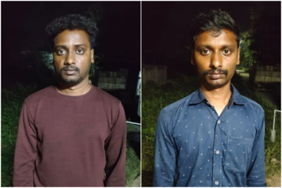 詐領千萬保險金！ 　兄弟聯手「放劇毒蛇咬親爸」不送醫等他死