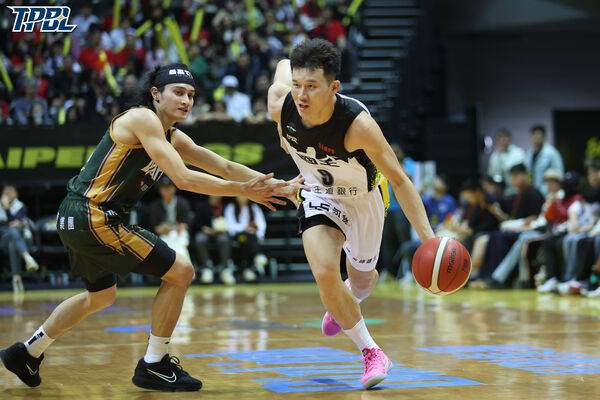 ▲▼新北國王台啤雲豹12月20日。（圖／記者蔡厚瑄攝）