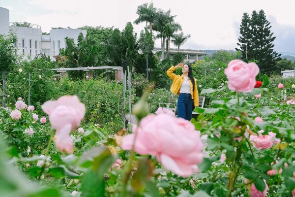 ▲台北「5大香氣賞玩路線」。（圖／台灣觀光創新協會提供）
